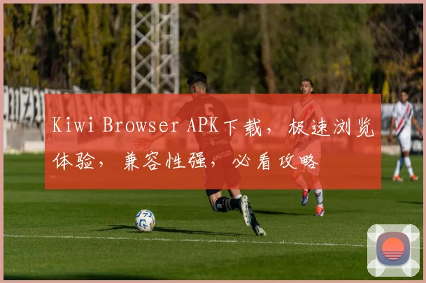 Kiwi Browser APK下载，极速浏览体验，兼容性强，必看攻略