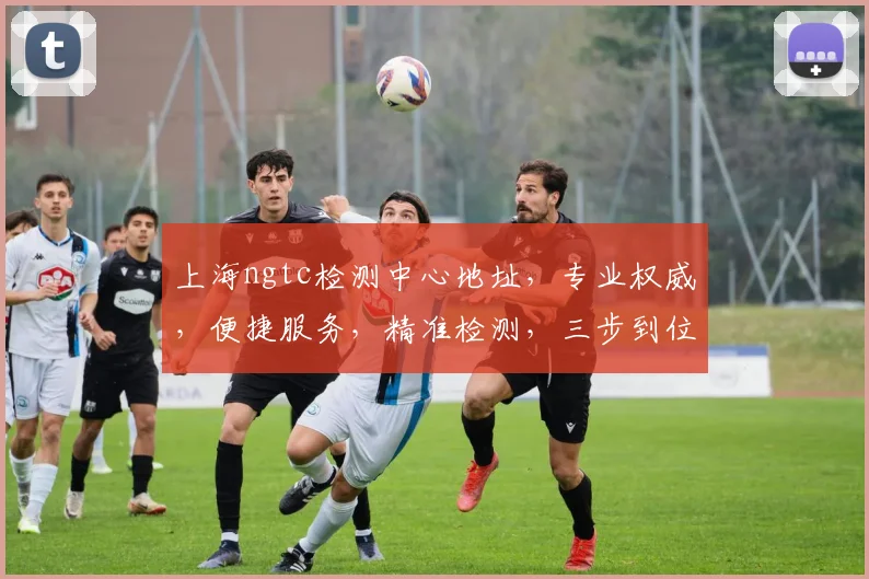 上海ngtc检测中心地址，专业权威，便捷服务，精准检测，三步到位，值得信赖