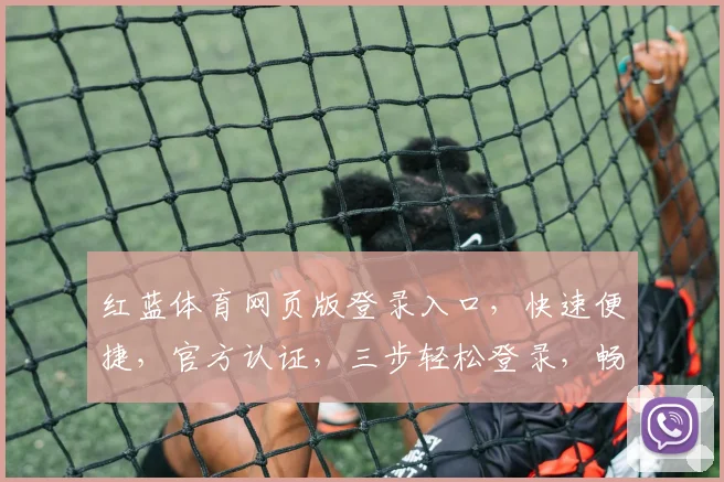 红蓝体育网页版登录入口，快速便捷，官方认证，三步轻松登录，畅享体育盛宴，体验非凡竞技